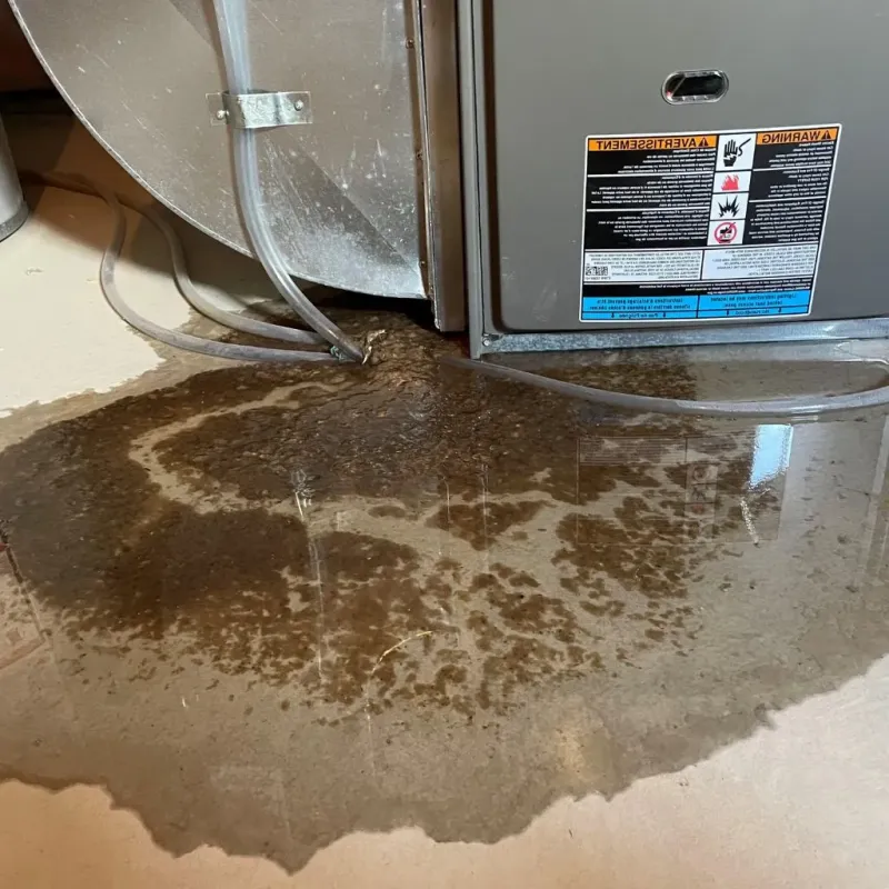 Pipe Burst and Leak Restoration in Hopkinton, NH